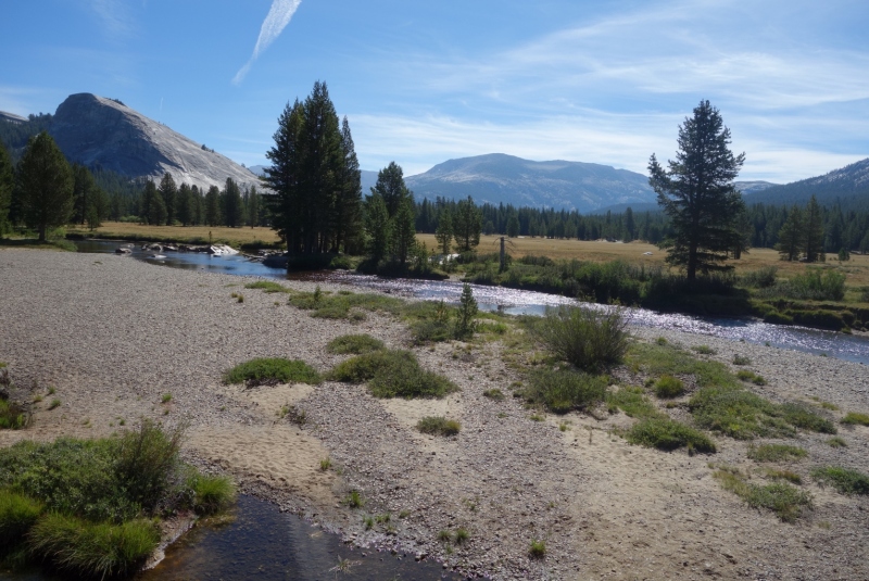 Yosemite National Park