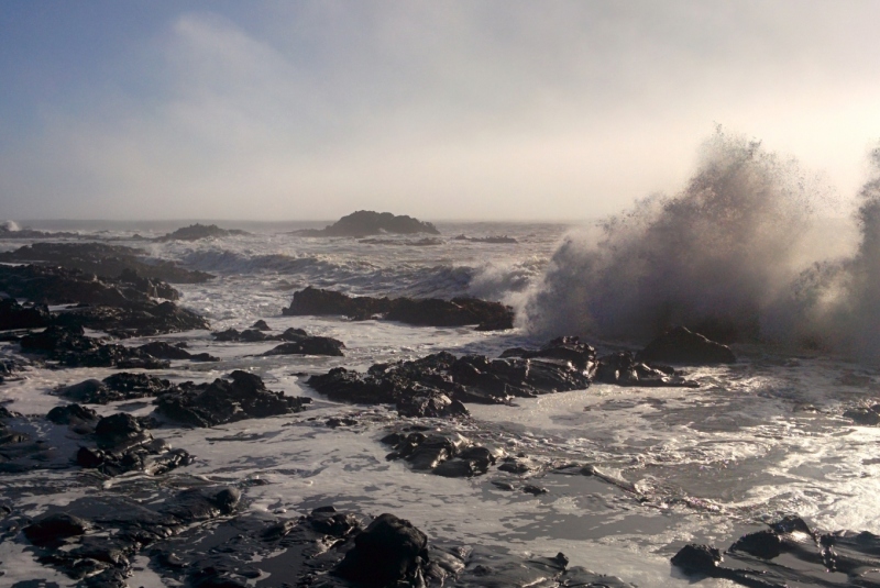 Pacific Coast Highway