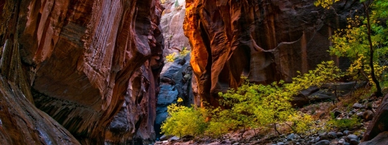 Národný park Zion, Utah